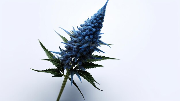 Photo blue hemp flowers on a white background generative ai