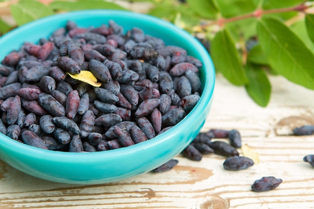 Blue honeysuckle berries in glass Cup on table