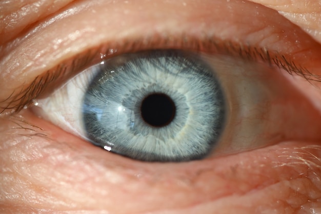 Фото Синий человеческий глаз с крупным планом черного зрачка. концепция диагностики компьютерного зрения