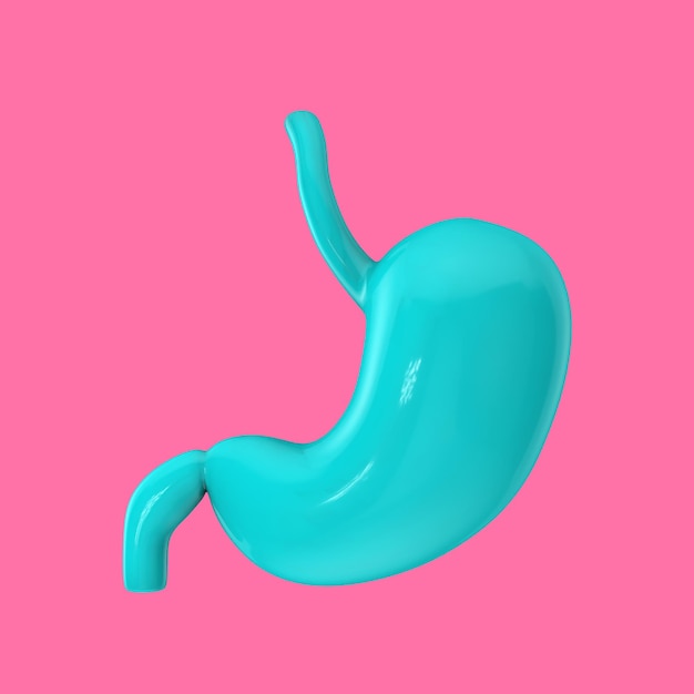 Blue Human Stomach Anatomy Internal Organ as Duotone Style 3d Rendering