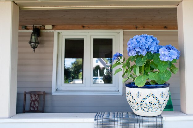 Photo blue hydrangea flower on the terrace space for text