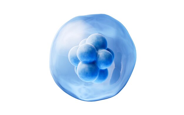 Blue isolated cell with biology concept 3d rendering Digital drawing