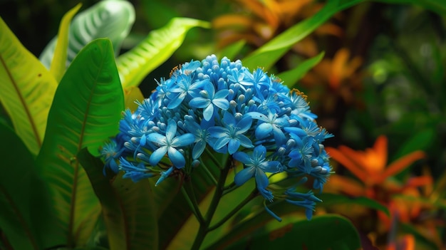 Blue Ixora flower Generative AI