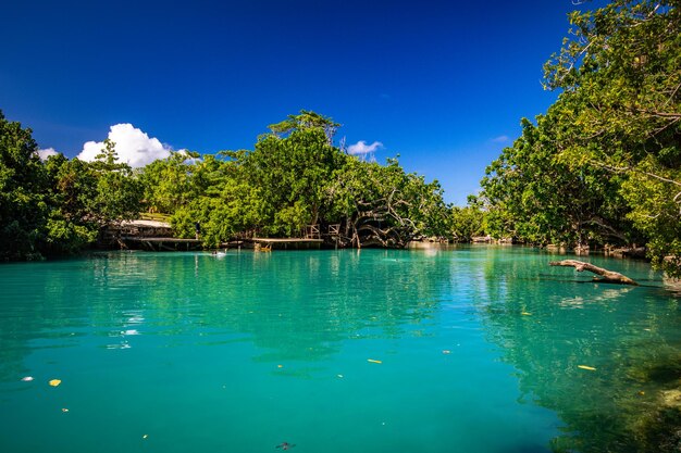 The Blue Lagoon Port Vila Efate Vanuatu