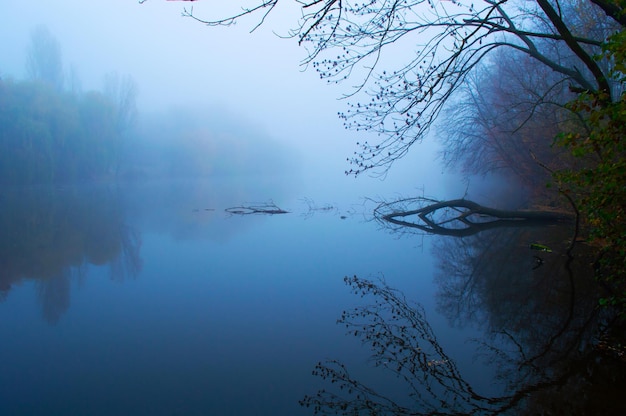 Blue lake in morning fog with a fallen tree in the water