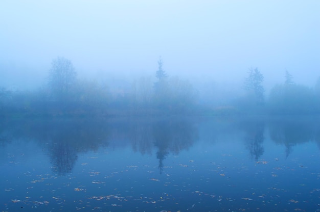 아침 안개 속의 푸른 호수