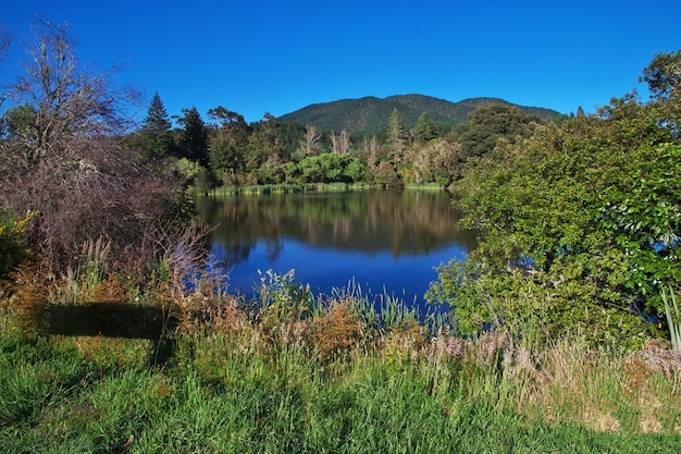 Blue lake in New Zealand