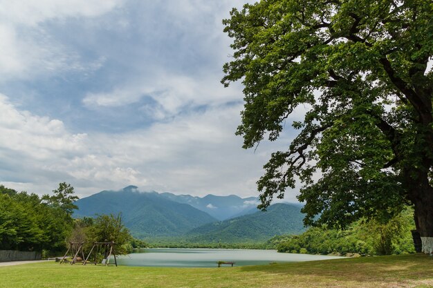 산의 배경에서 여름에 잔디와 나무와 푸른 호수. 조지아로의 여행