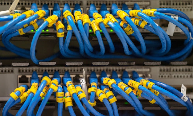 blue LAN cable on network switches