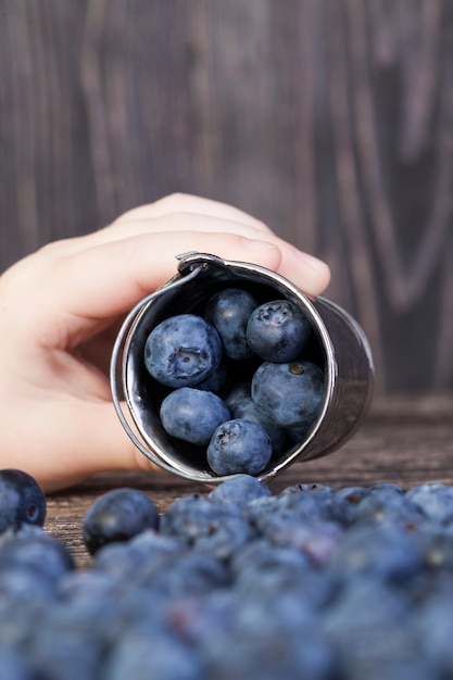 Blue large blueberries scattered on the table and lies in a bucket