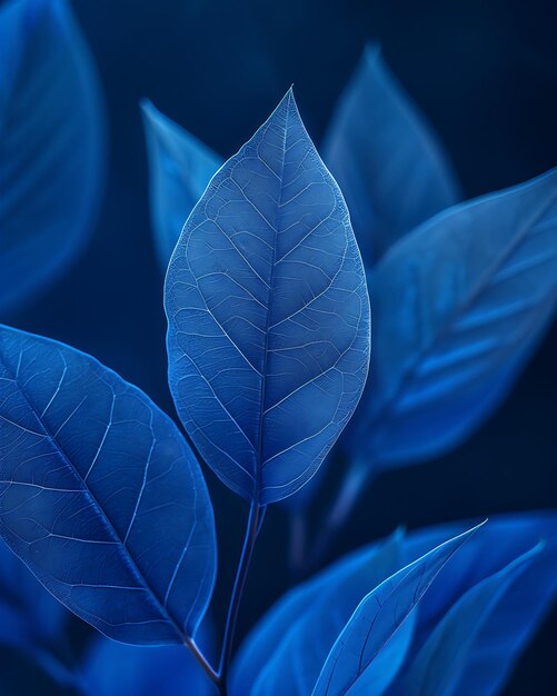 Photo blue leaf textures capturing natures serene beauty