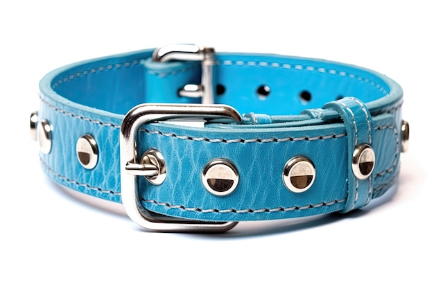 Blue Leather Dog Collar On White Background