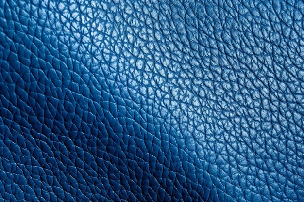 A blue leather with a pattern of the skin of a crocodile.