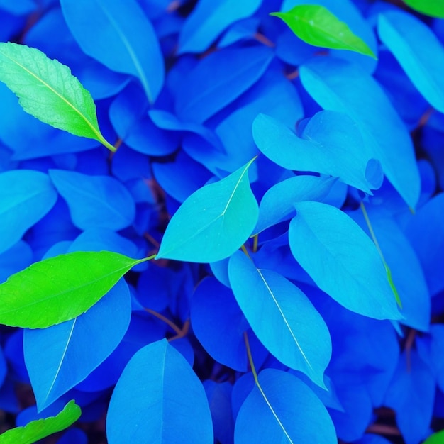 blue leaves background