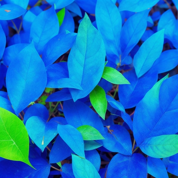 blue leaves background