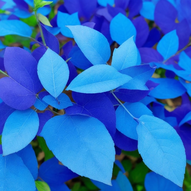 blue leaves background