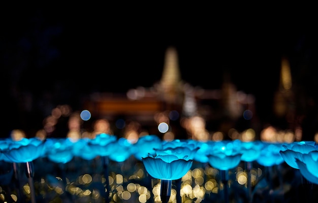 Blue Lotus like LED light probes with blur Buddhist temple in background