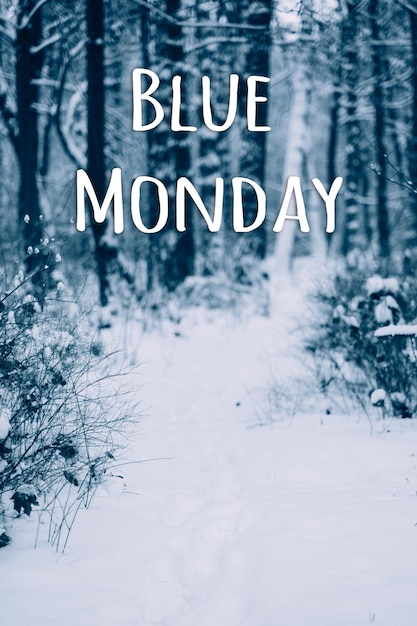 Blue monday-tekst op koude wintersneeuw bosachtergrond blue monday in januari de meest deprimerende