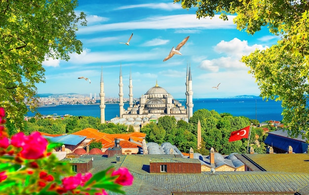 Blue Mosque and flowers