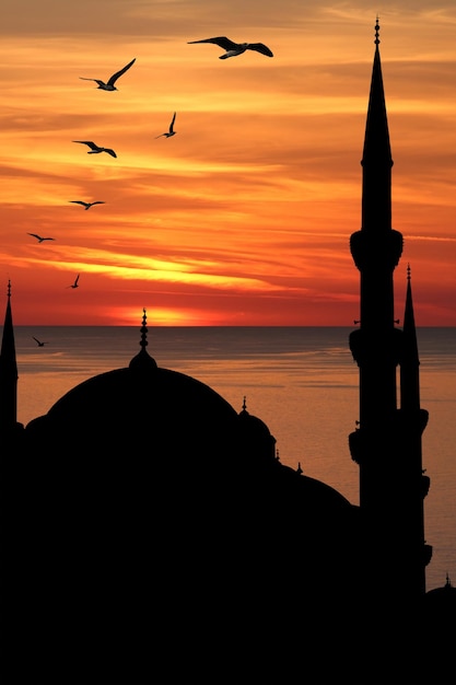 Photo blue mosque silhouette against sunset istanbul turkey