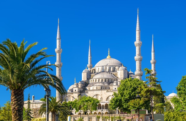 Blue Mosque or Sultanahmet Camii Istanbul Turkey