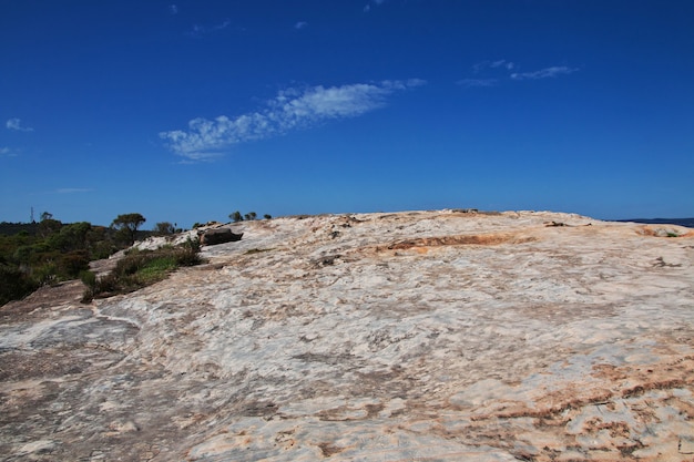 Parco nazionale delle montagne blu, australia