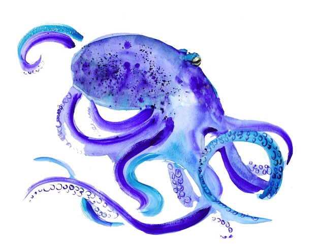 Blue Octopus watercolor illustration. Underwater creatures hand drawn realistic. Isolated background