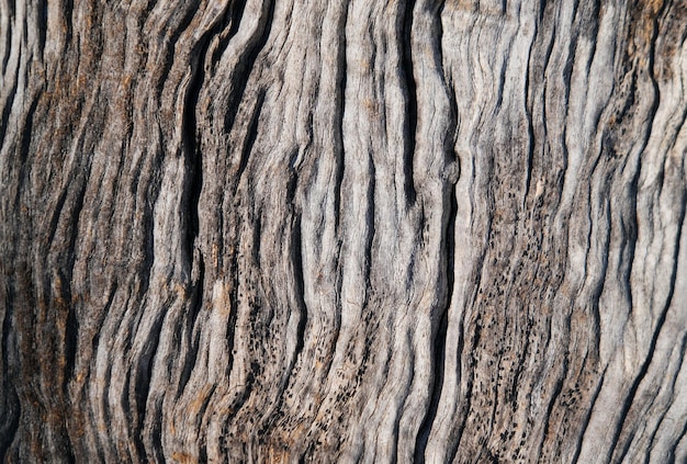 Blue old wooden background