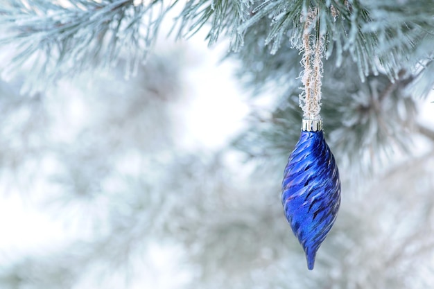 A blue ornament hangs from a tree in the winter