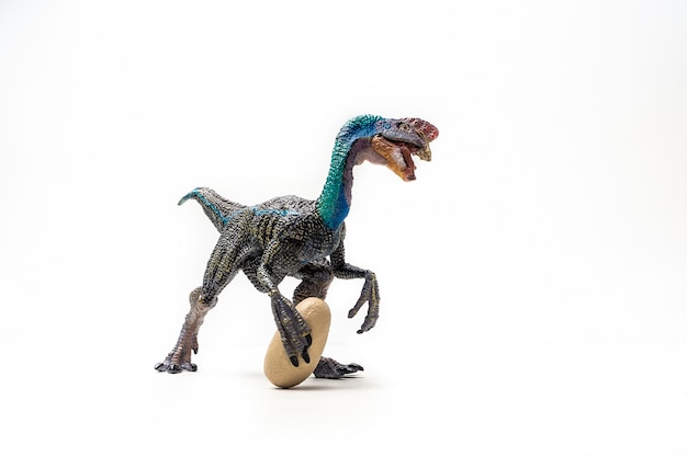 白い背景に青いOviraptor恐竜