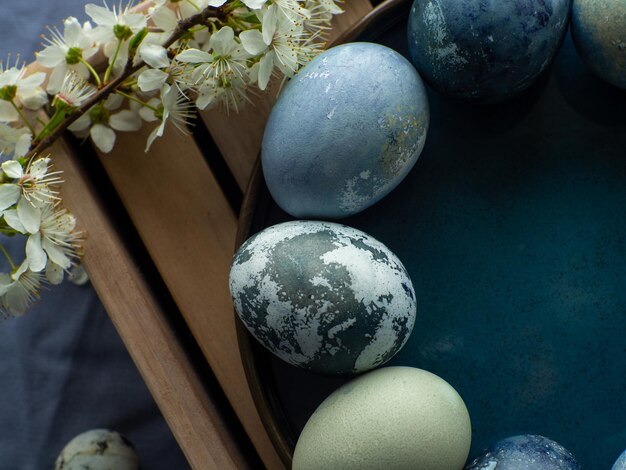 Blue painted easter eggs with cherry blossom twigs