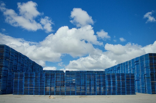 Photo blue pallets outdoors