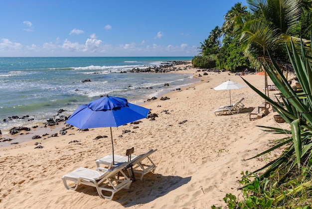 Natal Rio Grande 근처 Praia do Giz Tibau do Sul 해변의 파란색 파라솔과 의자