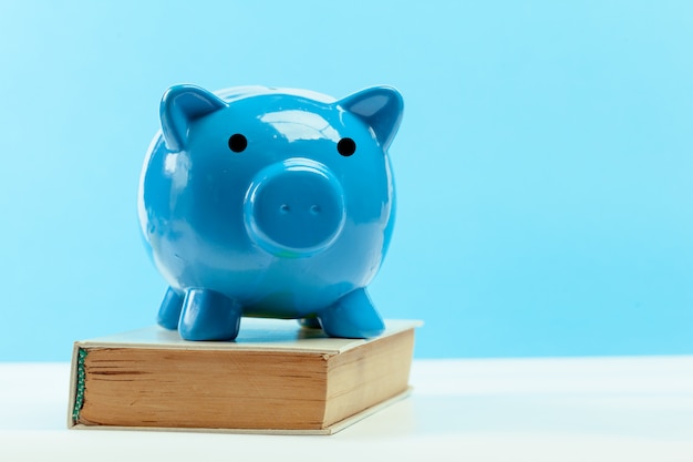 Blue piggy bank or money box 