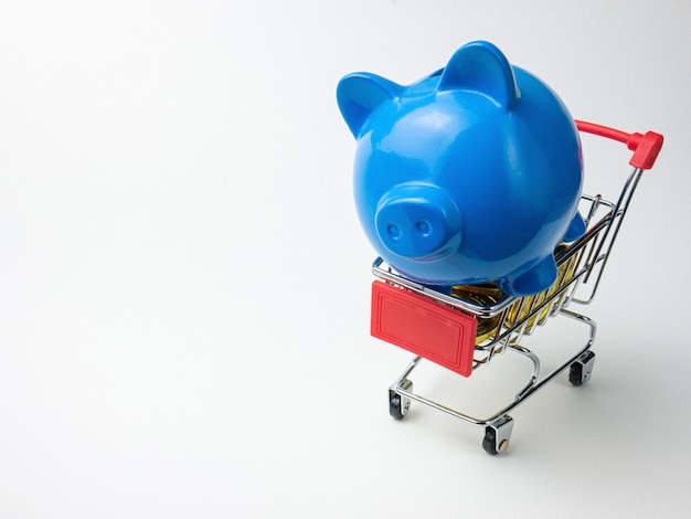 Blue piggy bank on shopping cart for business concept