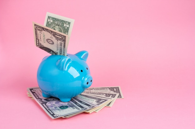 Blue piggy Bank with dollars on pink