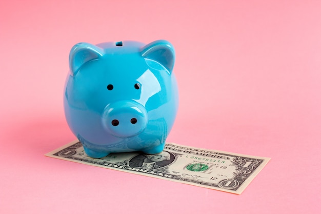 Blue piggy Bank with dollars on pink