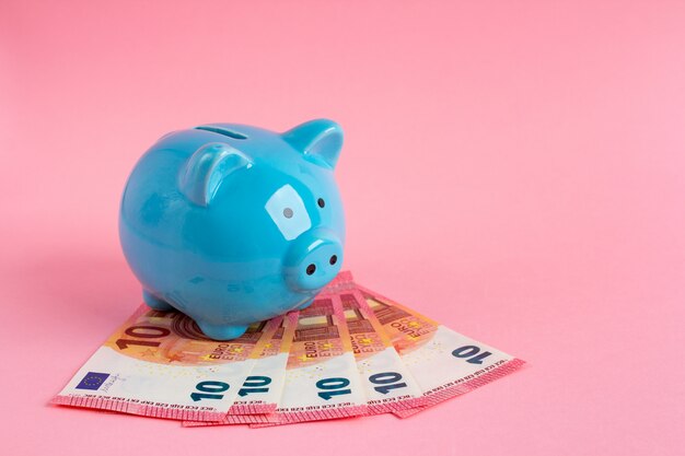 Blue piggy Bank with Euro banknotes on pink