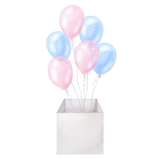 Blue pink balloons box twins boy girl birthday Handdrawn watercolor illustration isolated reveal