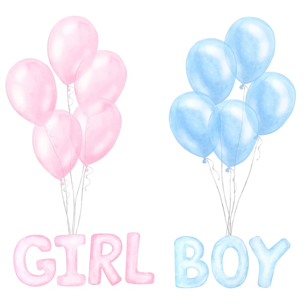 Blue pink balloons bundle words boy girl birthday surprise Hand drawn watercolor illustration isolated on white background Gender reveal party baby shower newborn children's design