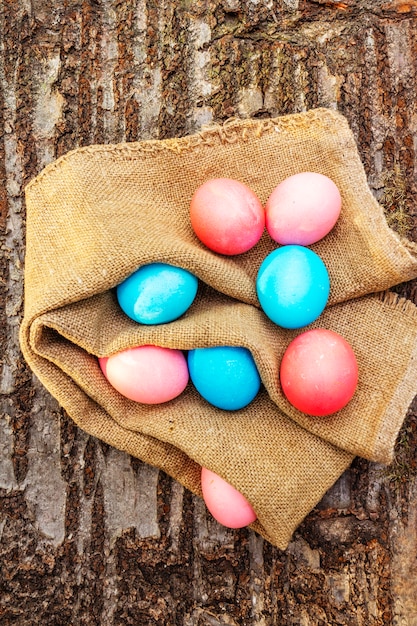 부활절 휴가위한 파란색과 분홍색 계란