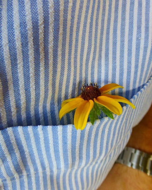 Photo blue pinstripes and yellow flower in pocket - ready to go out to town in fashion