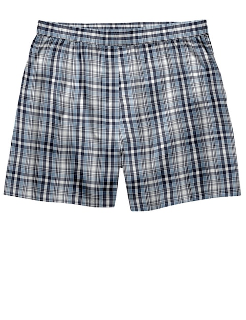 a blue plaid skirt with a white background