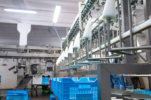 A blue plastic bin is being loaded onto a conveyor belt.