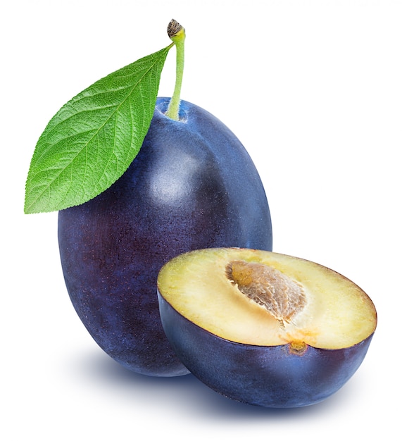 Blue plum isolated 