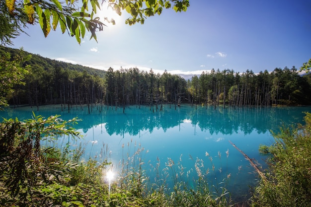 Photo blue pond in biei