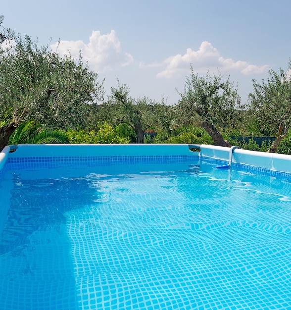 Photo blue pool surrouded by vegetation