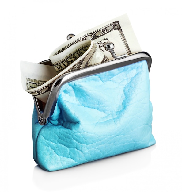 Blue purse with hundred dollar banknote 