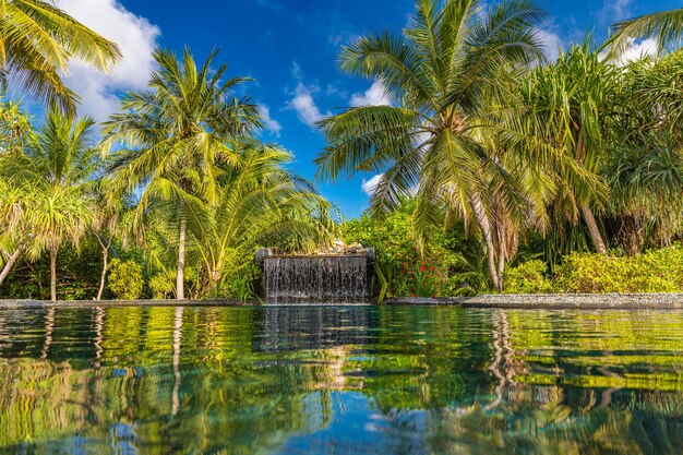 Blue ripped water reflection in tropical resort swimming pool, fresh green palm tree leaves, leisure