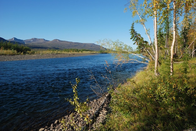 Blue river under the blue sky